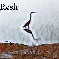 Dennis Resh -  - None