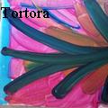Eva Juliette Tortora -  - None