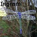Lonnie Q Ingram -  - None