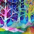 Nancy Tydings Bullough - Fairy Tale Forest - Paintings