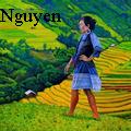 Thu Nguyen - Field of Dream - Oil Painting